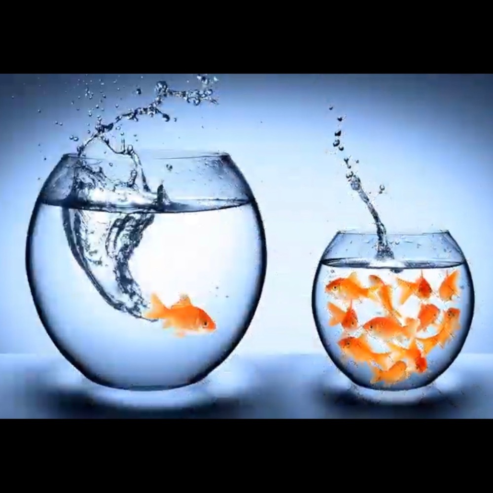 Meet your Posher, Jar